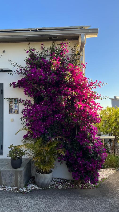 Plumeria Holidays Saint Pierre Dış mekan fotoğraf