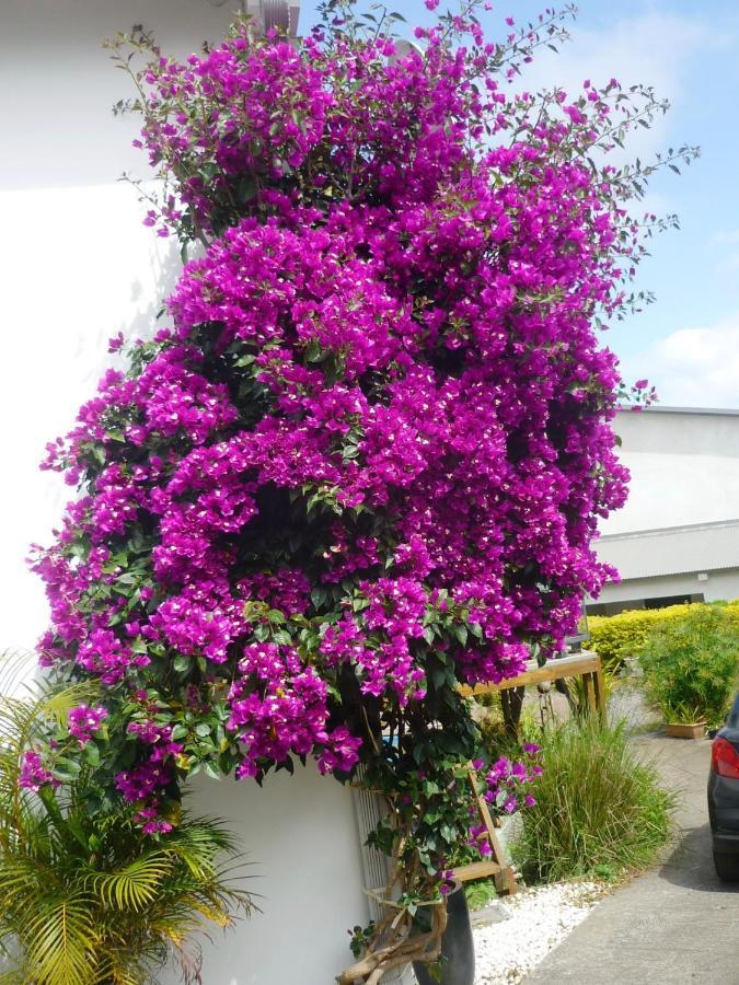 Plumeria Holidays Saint Pierre Dış mekan fotoğraf